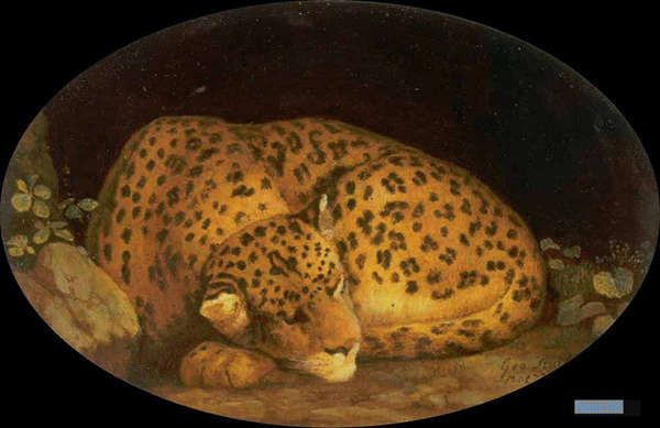 動物 絵画 高品質の絵画の複製品はどこにありますか ジョージ スタッブス George Stubbs 大型カスタム絵画 眠れる森のヒョウ